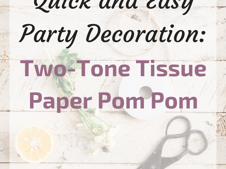 MDC Two-Tone Pom Poms
