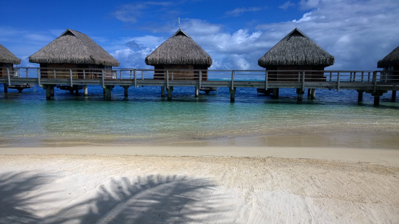 5 Reasons to Visit Moorea