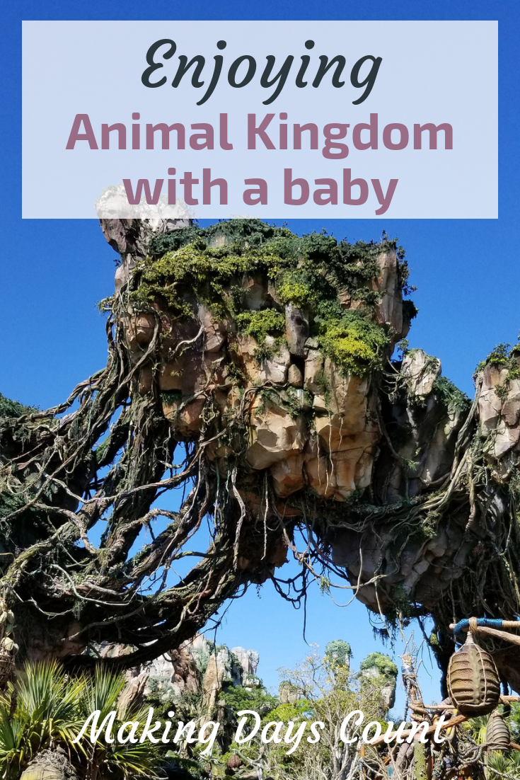 Pin this: Animal Kingdom with a baby