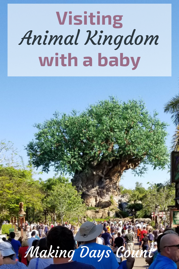Animal Kingdom with a baby