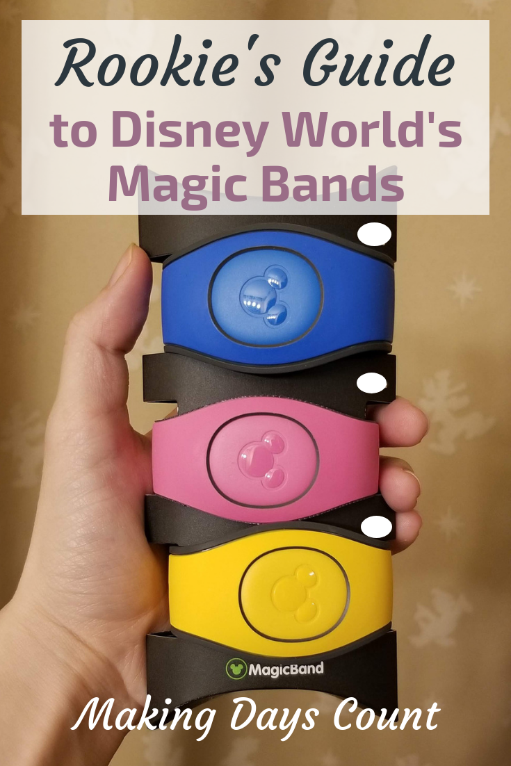 Disney World Magic Bands Pin