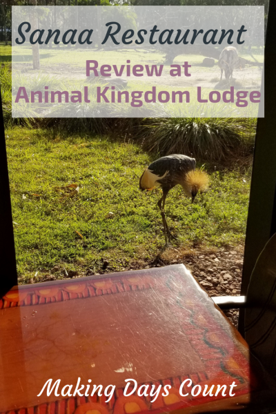 Sanaa Restaurant Review at Animal Kingdom Lodge