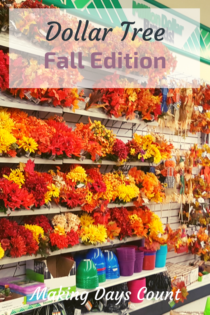 What to buy at dollar tree in the fall