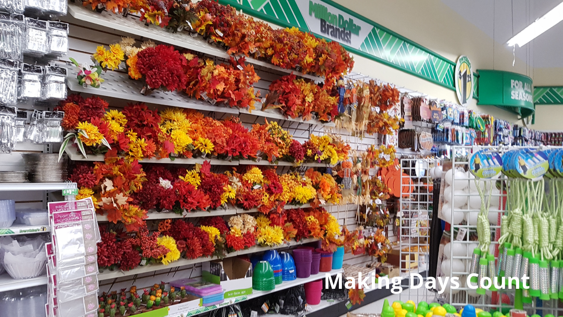 Fall color flowers 