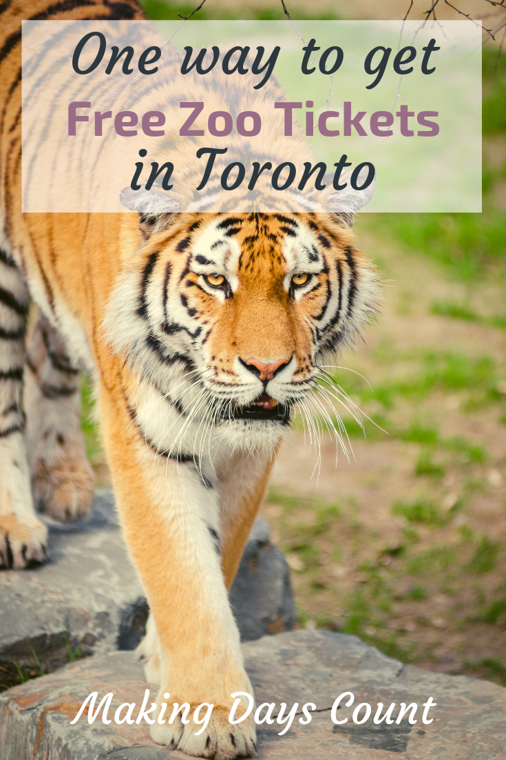 Free Tickets to the Toronto zoo