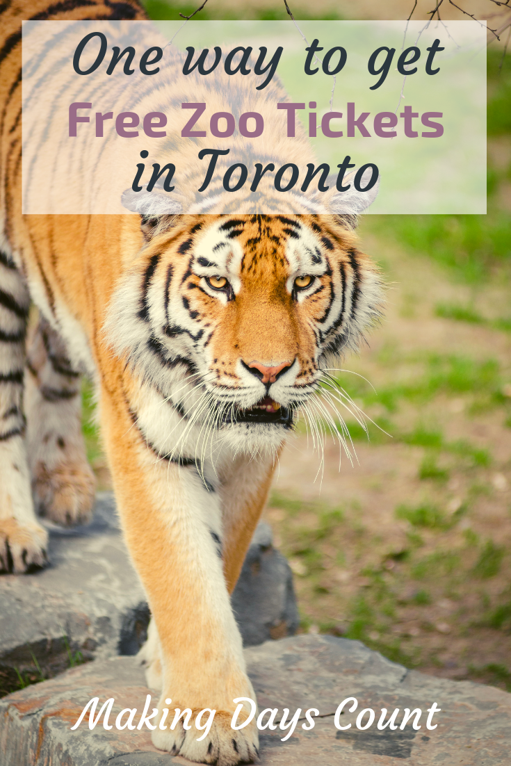 toronto public library free zoo tickets