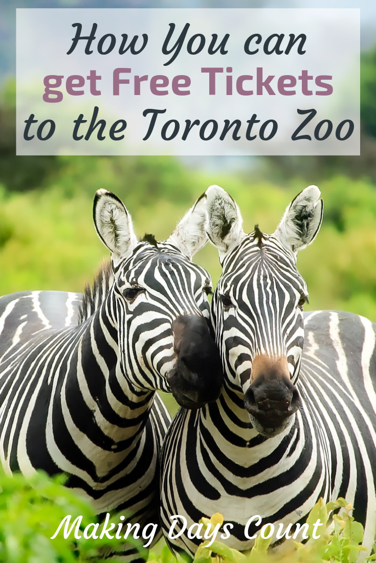 Free Tickets to the Toronto zoo