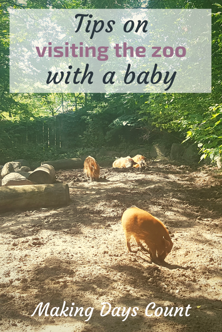 Visiting the Toronto Zoo with a baby