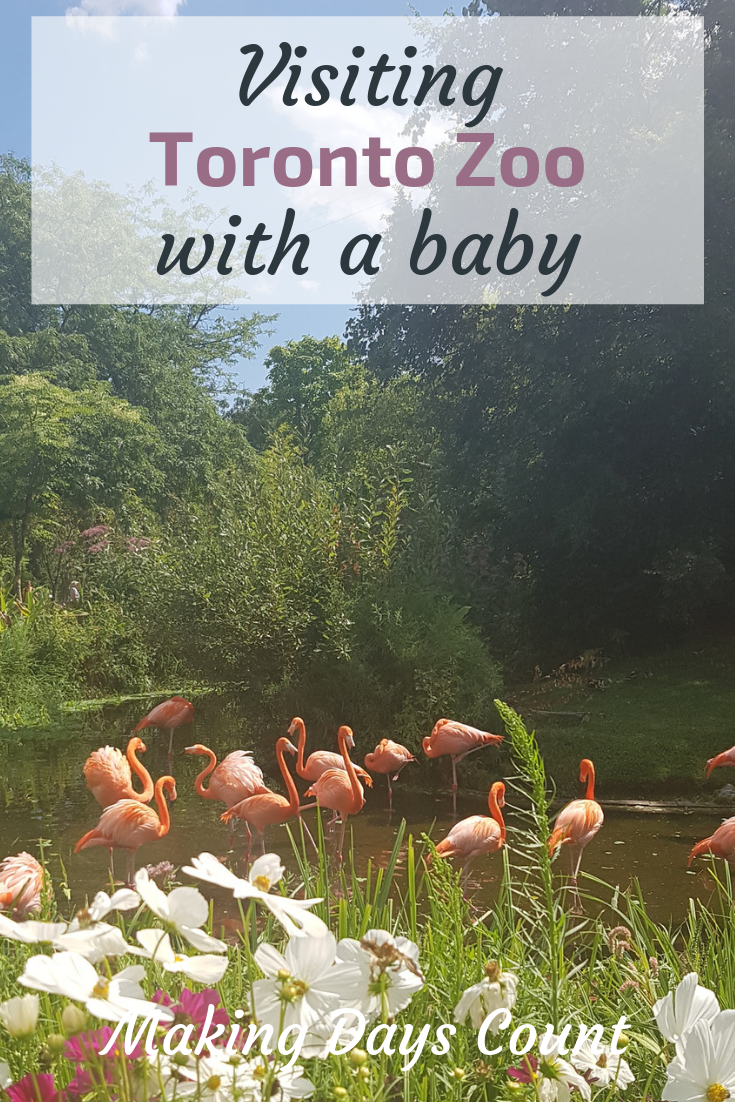 Toronto Zoo with a baby