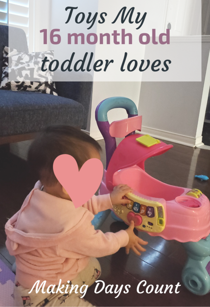 Toys my 16 month old toddler loves