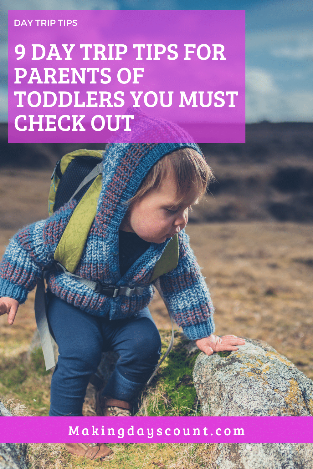 toddler day trip tips