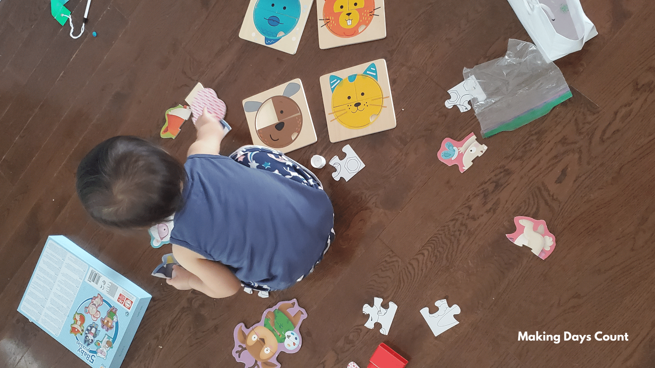 Indoor Toddler Activities: Puzzles