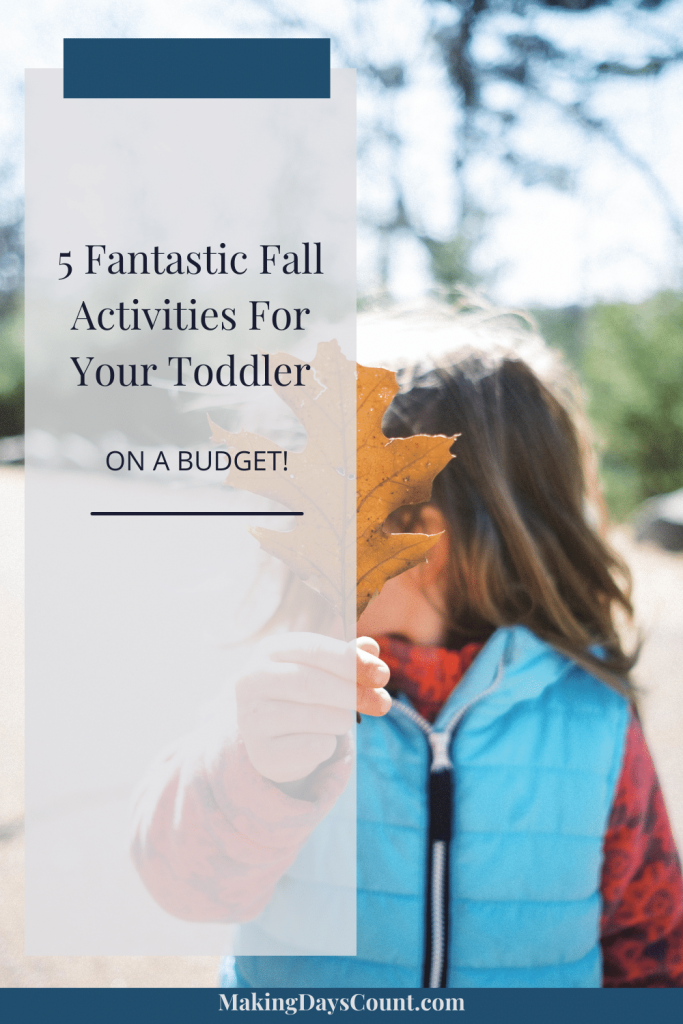Pin this image: Things to do this fall