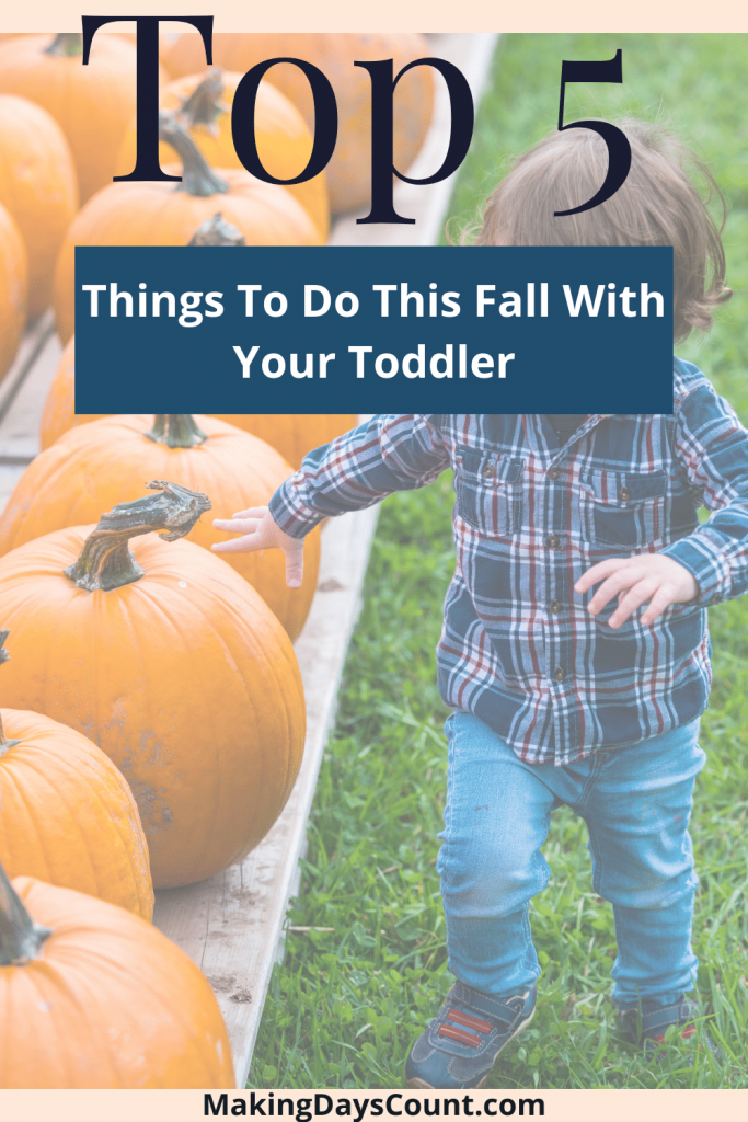 5-budget-fall-things-to-do-with-a-toddler-making-days-count